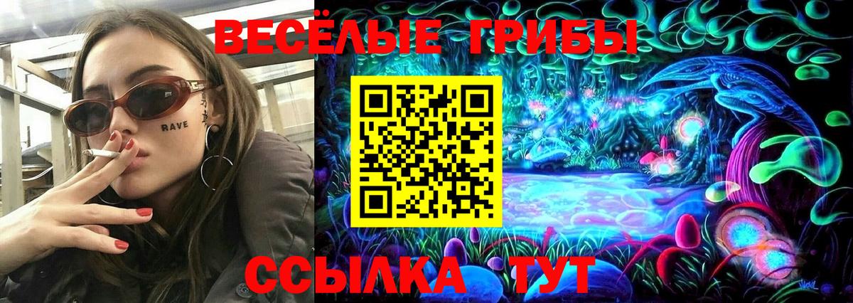 Галлюциногенные грибы Cubensis Топки